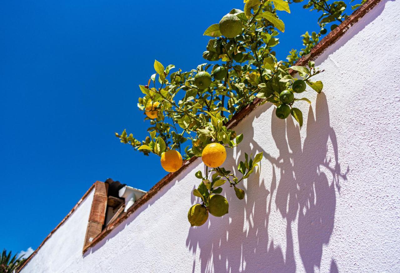 Villa Yanna Benalmádena Eksteriør bilde